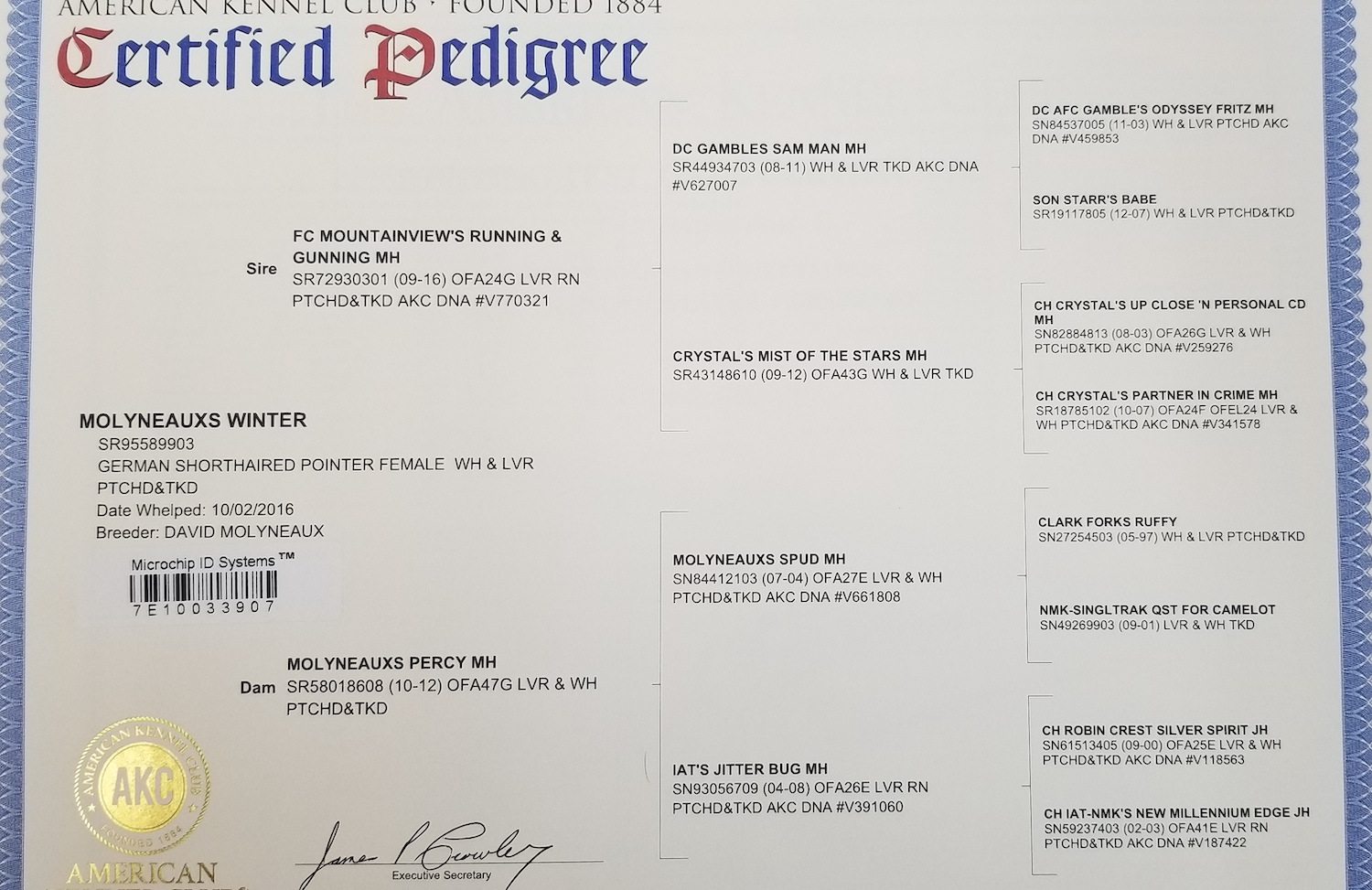 Winter pedigree document