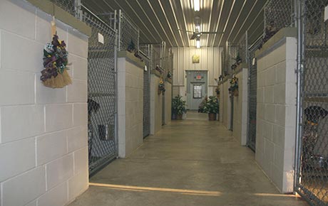 Dave's Gun Dog Training Main Kennel Facility