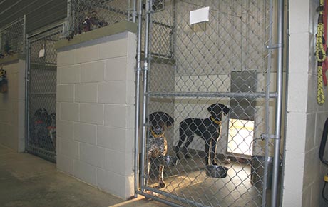 Dave's Gun Dog Training Main Kennel Facility
